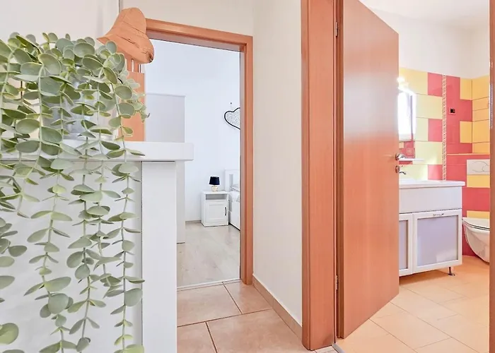Appartement Barbara 2 Novigrad Istria